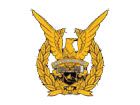 TNI AU